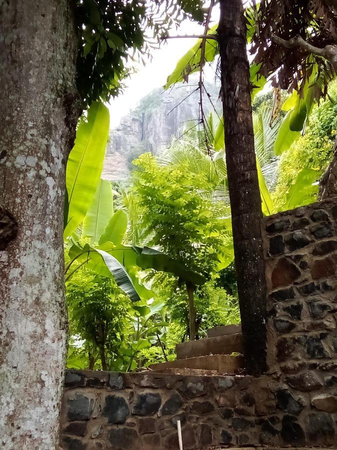 Forest Rawana Homestay Ella Eksteriør bilde