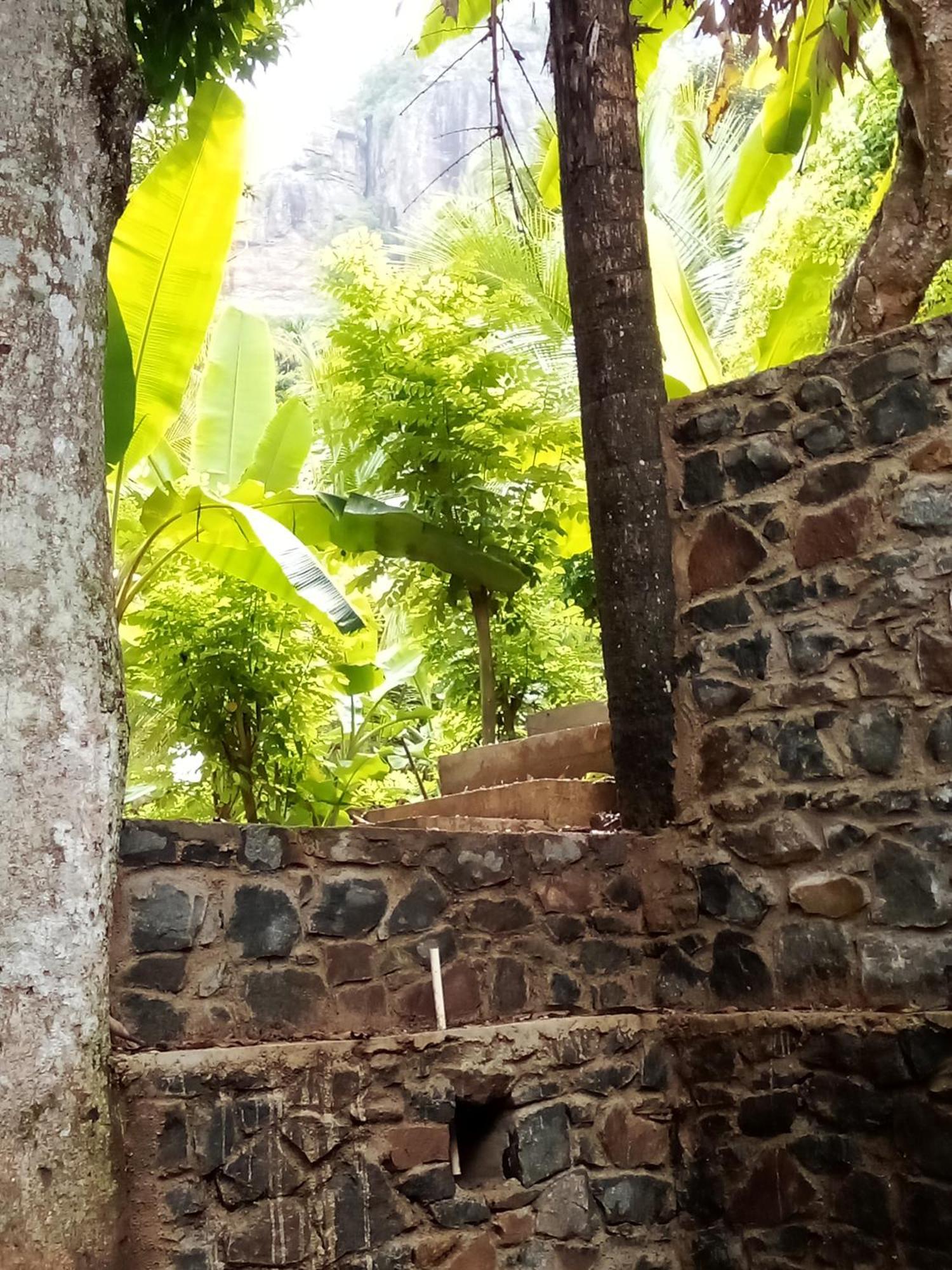 Forest Rawana Homestay Ella Eksteriør bilde